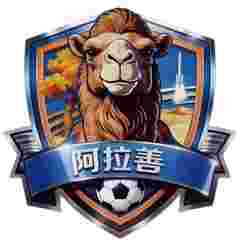 主队